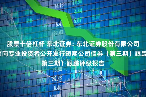 股票十倍杠杆 东北证券: 东北证券股份有限公司2025年面向专业投资者公开发行短期公司债券(第三期)跟踪评级报告