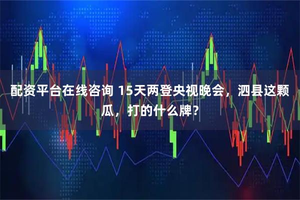 配资平台在线咨询 15天两登央视晚会，泗县这颗瓜，打的什么牌？