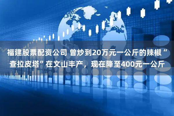 福建股票配资公司 曾炒到20万元一公斤的辣椒“查拉皮塔”在文山丰产，现在降至400元一公斤