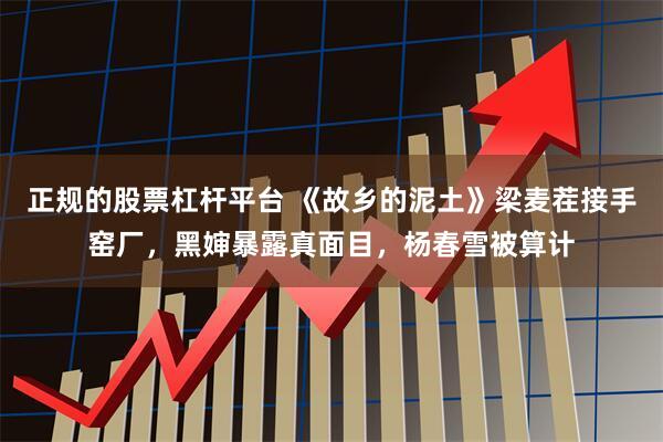 正规的股票杠杆平台 《故乡的泥土》梁麦茬接手窑厂，黑婶暴露真面目，杨春雪被算计